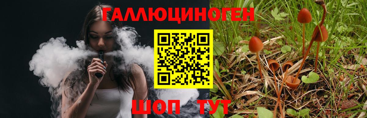 Омск  купить   Вход с VPN  Псилоцибиновые грибы мухоморы 